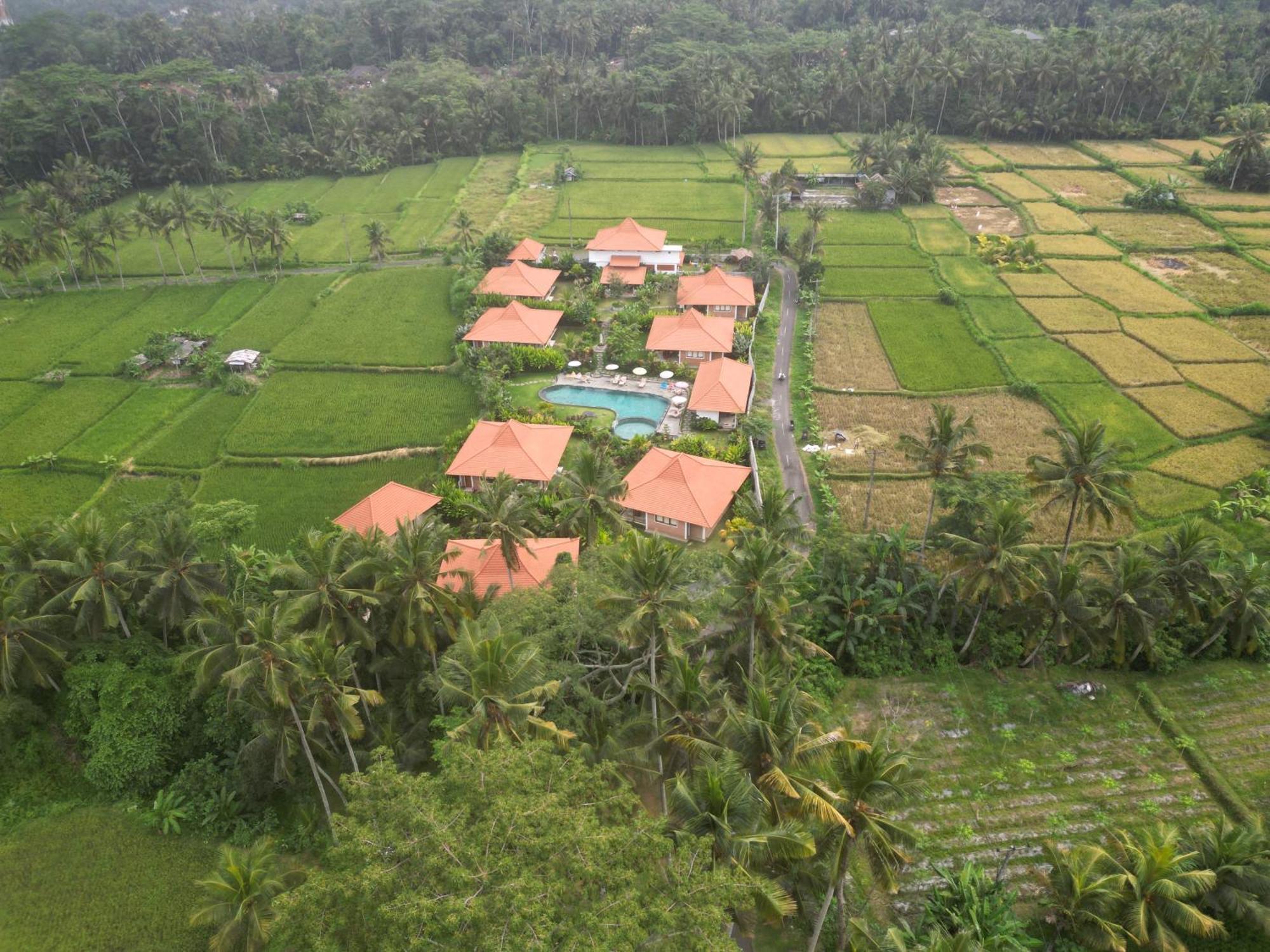 Kampung Uma Dawa Villas And Spa Ubud  Exterior photo